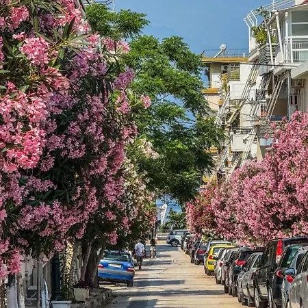 Apartment Viktoria 2 *