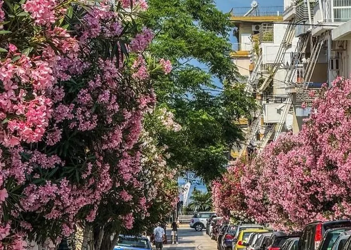 Apartment Viktoria 2 *