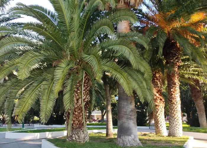 Apartment Viktoria 2